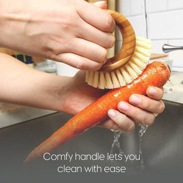 https://cdn.shopify.com/s/files/1/0925/0203/2693/files/JDI055-Fruit-and-Vegetable-Cleaning-Brush_All_5620_1.jpg?v=1736066841